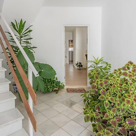 Apartamento Los Naranjos En Vejer Vejer de la Frontera Bagian luar foto