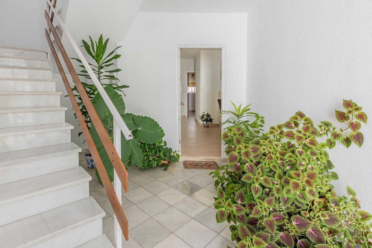 Apartamento Los Naranjos En Vejer Vejer de la Frontera Bagian luar foto
